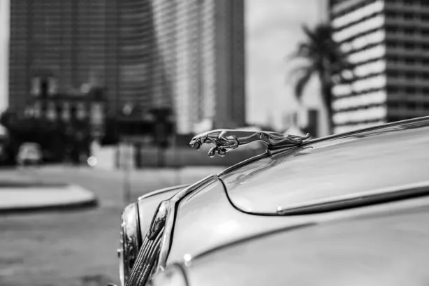 Betobet Kasino Apl Android/iOS